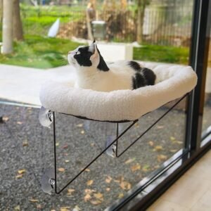 Wholesale Cat Window Perch ZH WorldTrade China Factory Supplier