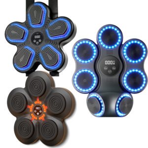 Wholesale Music Electronic Boxing Machine ZH WorldTrade China Factory Supplier