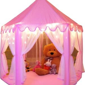 Wholesale Princess Tent toys ZH WorldTrade China Factory Supplier